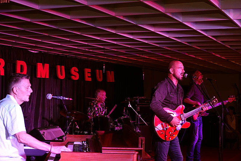 05 - ANIMALS & FRIENDS