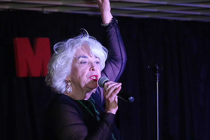 10 - SONG CONTEST PARTY - ANDREA HUBOUNIG